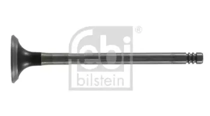 febibilstein-19630