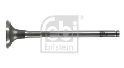 febibilstein-19631