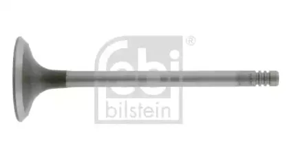 febibilstein-19632