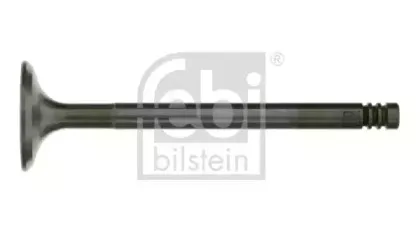 febibilstein-19633