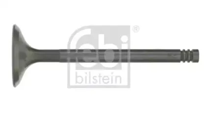 febibilstein-19634