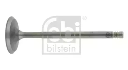 febibilstein-19637