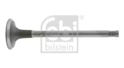 febibilstein-19639