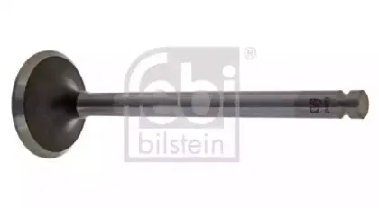 febibilstein-19887