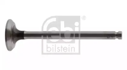 febibilstein-19891