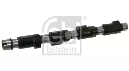 febibilstein-19942