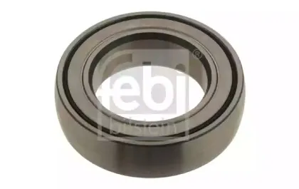 febibilstein-19945