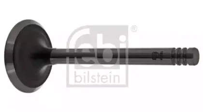febibilstein-19956