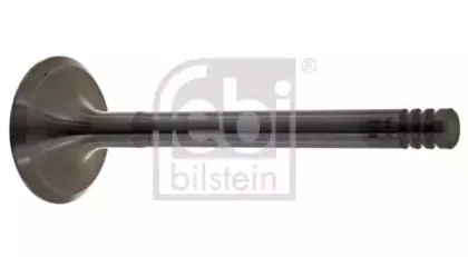 febibilstein-19970