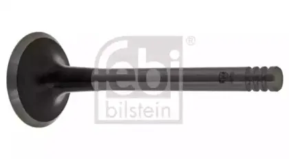 febibilstein-19978