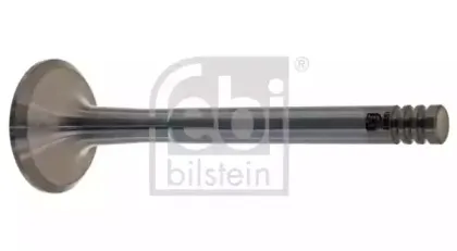 febibilstein-19982