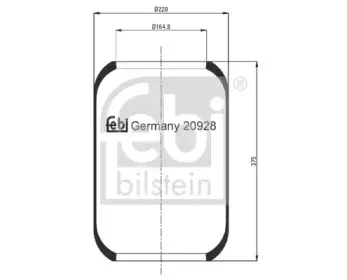 febibilstein-20928