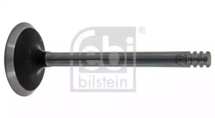 febibilstein-21026