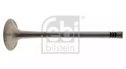 febibilstein-21034