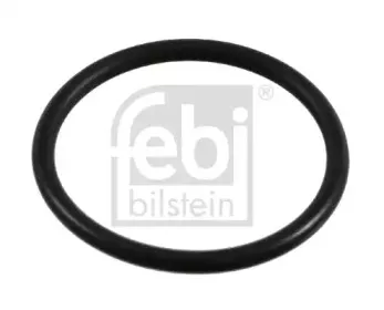febibilstein-21065