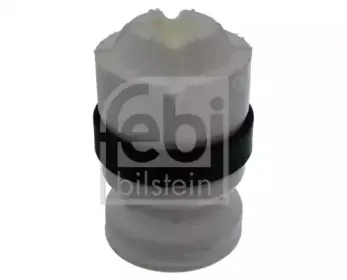 febibilstein-21129