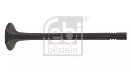 febibilstein-21212