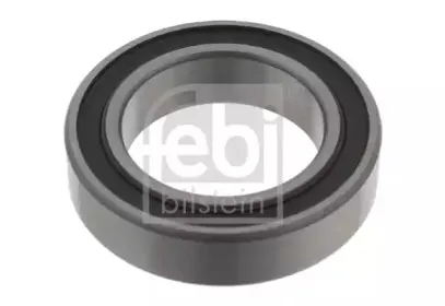 febibilstein-21311