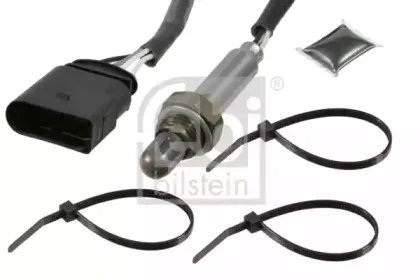 febibilstein-21418