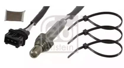 febibilstein-21422