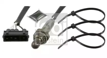 febibilstein-21426