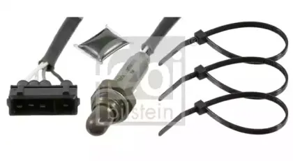 febibilstein-21428