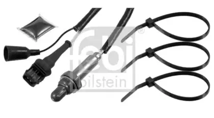 febibilstein-21432