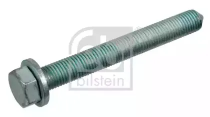 febibilstein-21475