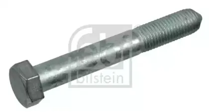 febibilstein-21477