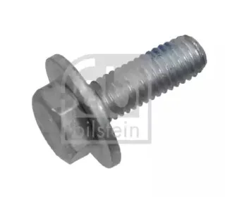 febibilstein-21479