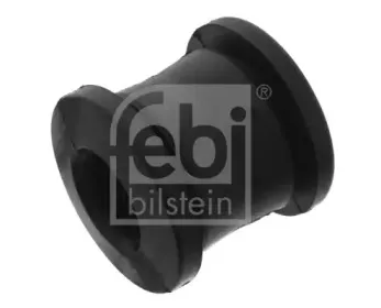 febibilstein-21613