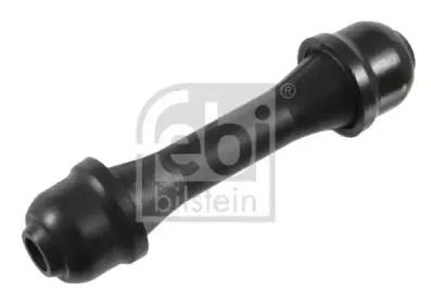 febibilstein-21749