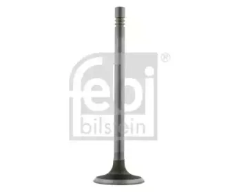 febibilstein-21805