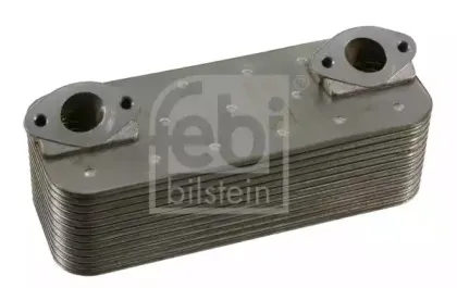 febibilstein-21881