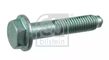 febibilstein-21919