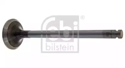 febibilstein-22026