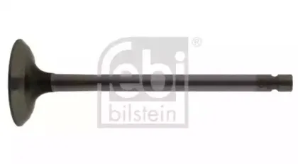 febibilstein-22065