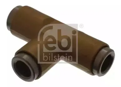 febibilstein-22197
