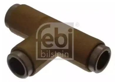 febibilstein-22199