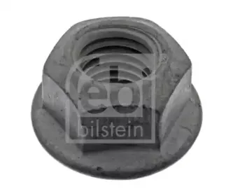 febibilstein-22263