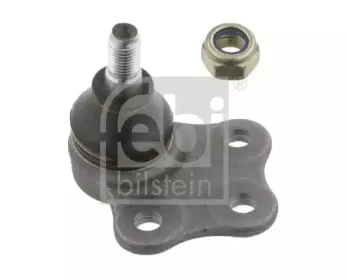 febibilstein-22386