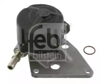 febibilstein-22608