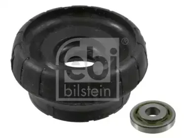 febibilstein-22639