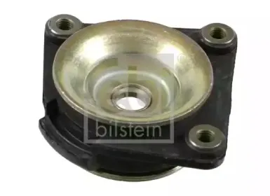 febibilstein-22648