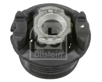 febibilstein-22666