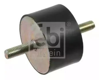 febibilstein-22869