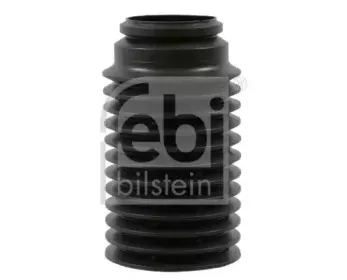 febibilstein-22987