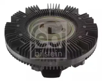 febibilstein-23013