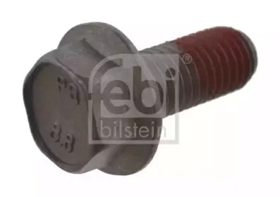 febibilstein-23341