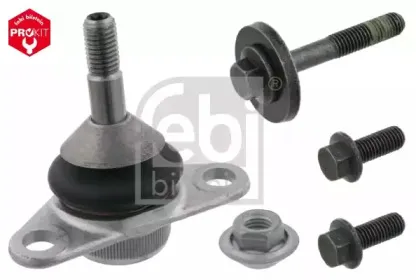 febibilstein-23343